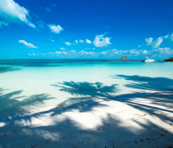 Bellissimo mare tropicale — Foto Stock