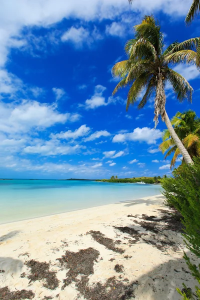 Beautiful tropical sea Stock Picture