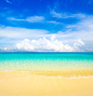 Plaj ve güzel tropikal deniz