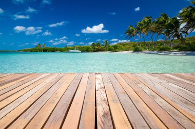 plaj ve tropikal deniz