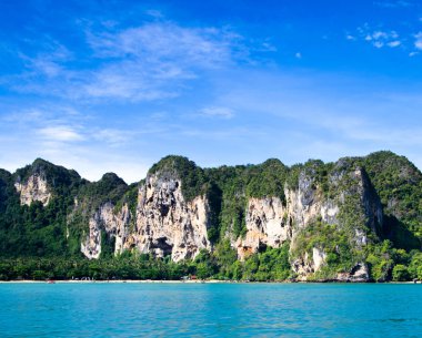 plaj ve tropikal deniz