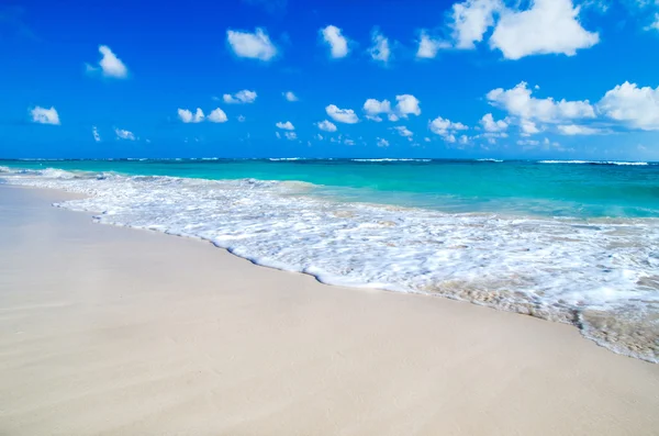 Spiaggia e bellissimo mare tropicale — Foto Stock