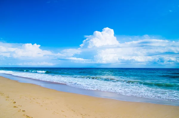 Пляж и красивое тропическое море — стоковое фото