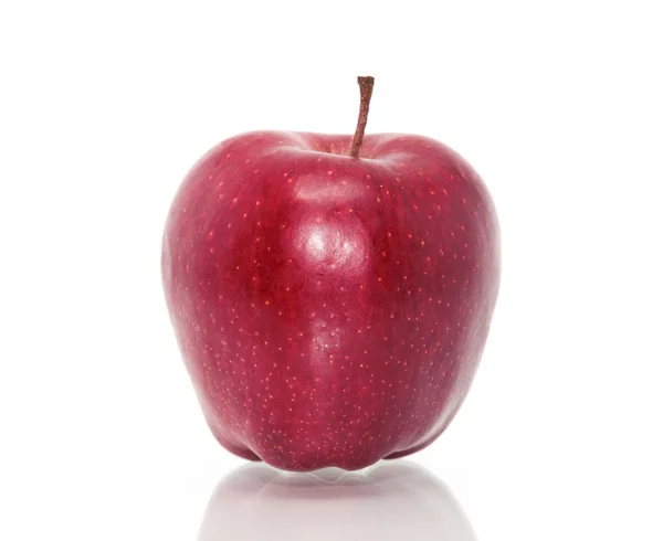Czerwony dojrzałe jabłko — Zdjęcie stockowe