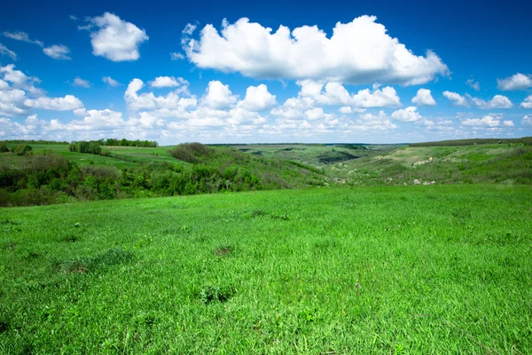 Green field and blue sky — Stock Photo, Image