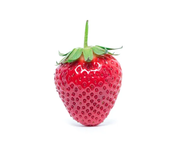 Red fresh strawberry — Stock Photo, Image