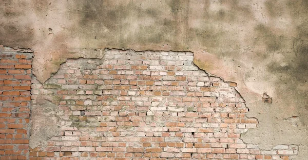 Brick wall   background — Stock Photo, Image