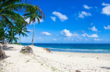 plaj ve tropikal deniz