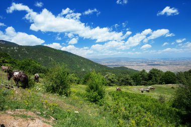 dağ manzarası, Yunanistan