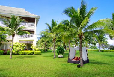 Yeşil bahçe çim ile