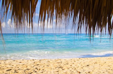 plaj ve tropikal deniz