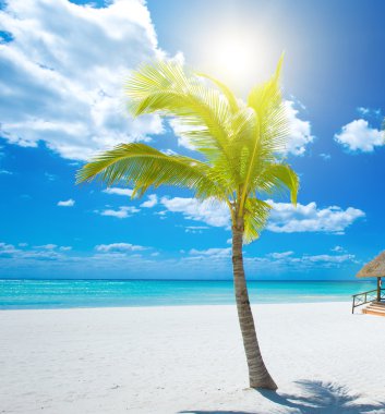 Mavi deniz ve mavi gökyüzü