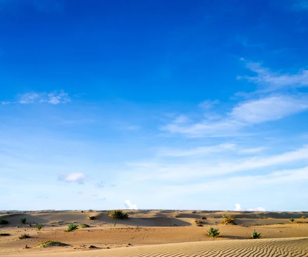 Paisaje desértico con cielo azul —  Fotos de Stock