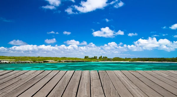 Playa y mar tropical — Foto de Stock