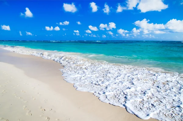 Beach and tropical sea — Stock Photo, Image