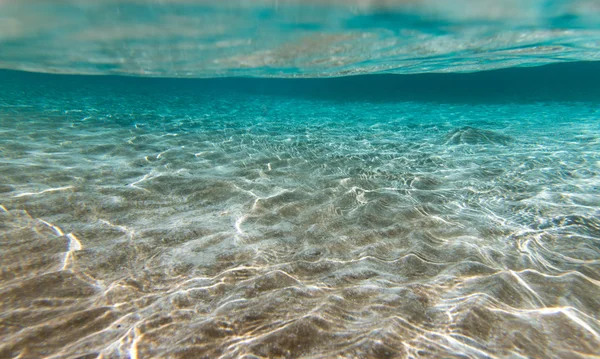 Tranquila escena submarina — Foto de Stock