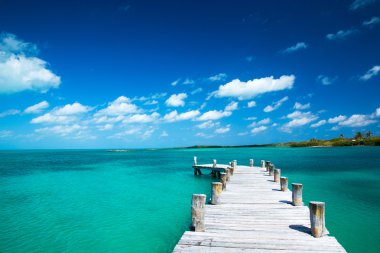 plaj ve tropikal deniz