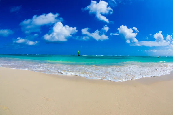 Praia e mar tropical — Fotografia de Stock