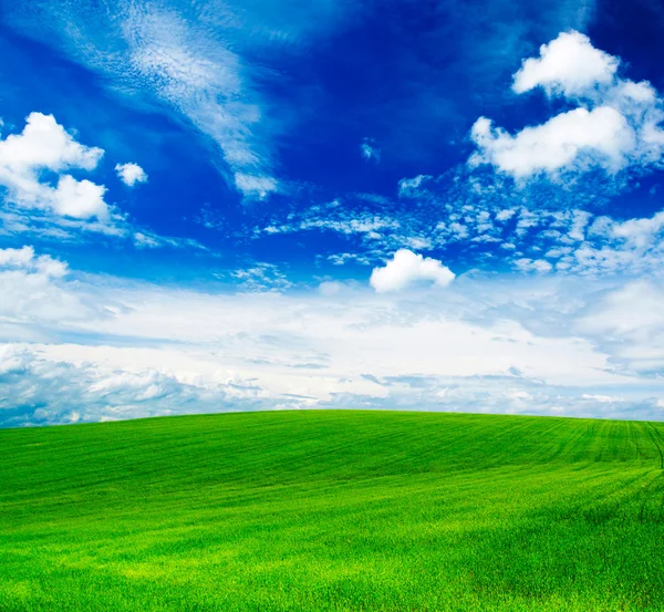 Campo verde e céu azul — Fotografia de Stock