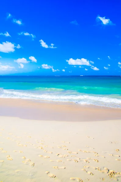 Beach and tropical sea — Stock Photo, Image