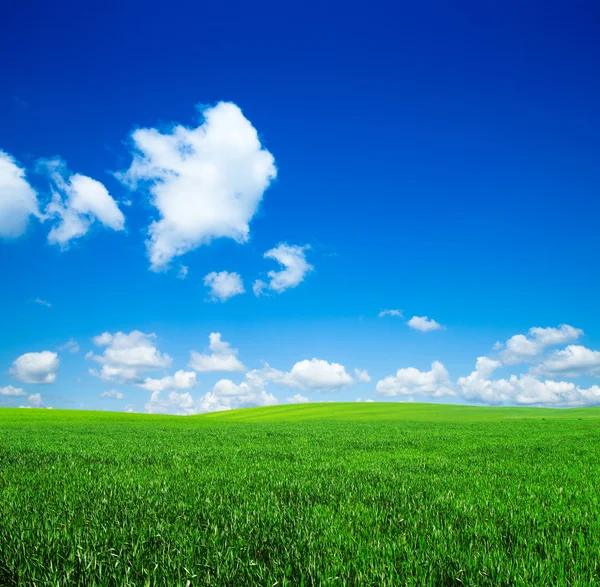 Céu e campo verde — Fotografia de Stock