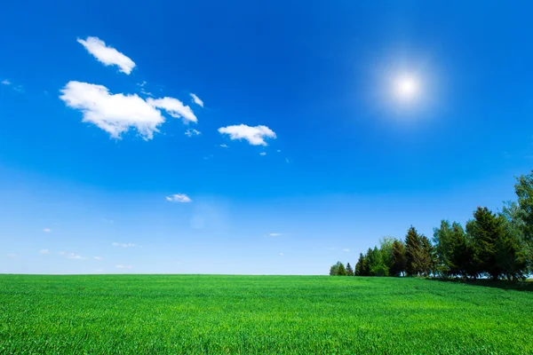 Céu e campo verde — Fotografia de Stock