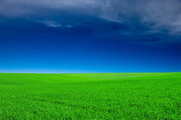 Cielo y campo verde —  Fotos de Stock