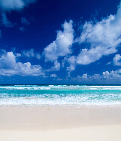 Playa y mar tropical — Foto de Stock