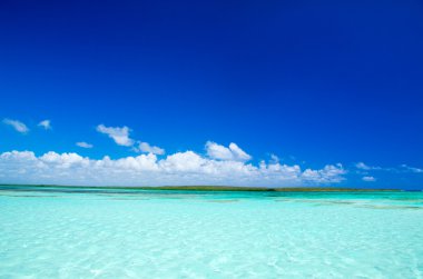 plaj ve tropikal deniz