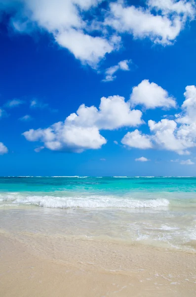 Beach and tropical sea — Stock Photo, Image