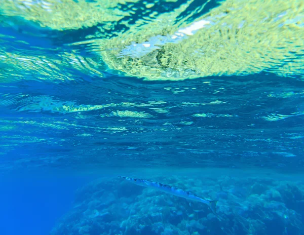 Underwater scen med kopia utrymme — Stockfoto