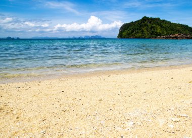 tropikal deniz manzara