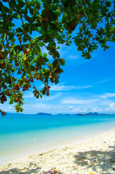 Strand und tropisches Meer — Stockfoto