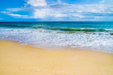 plaj ve tropikal deniz