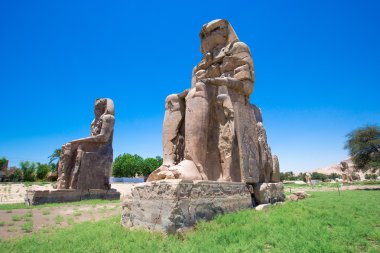 Memnon Mısır'daki colossi. Luxor.