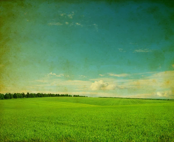 Campo verde e céu azul — Fotografia de Stock