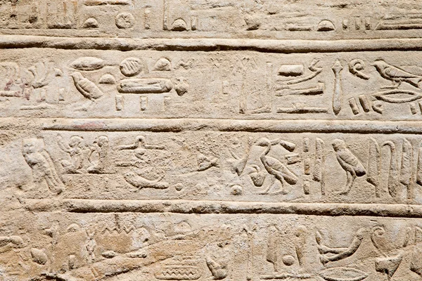 Ägyptische Hieroglyphen in Stein gemeißelt — Stockfoto