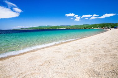 plaj ve tropikal deniz