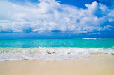 plaj ve tropikal deniz