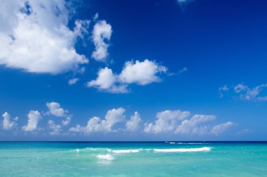 Güzel sahil ve deniz