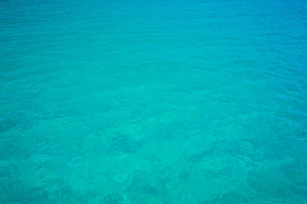 Blue and tropical sea — Stock Photo, Image