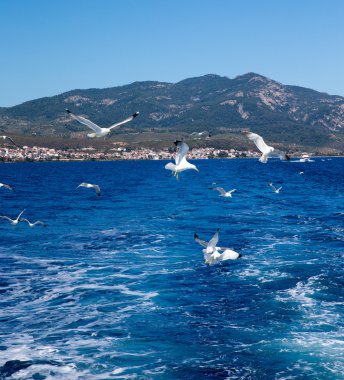 plaj ve mavi deniz