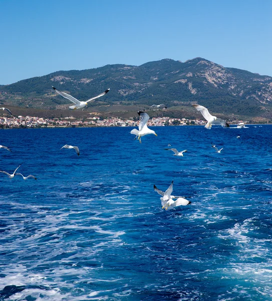 Spiaggia e mare blu — Foto Stock