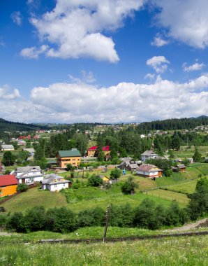 Yalnız hill tarafından orman kaplı