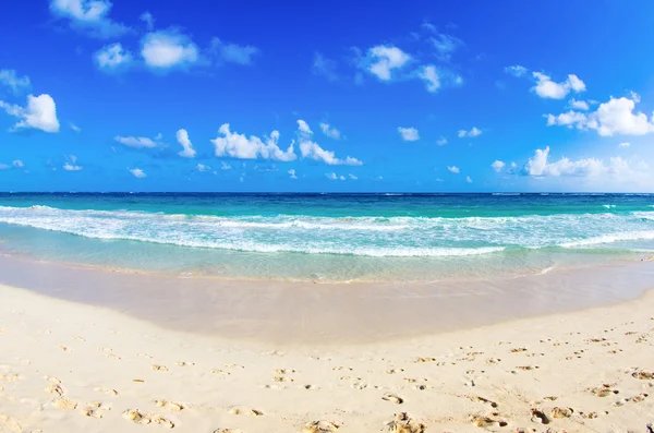 Praia e mar tropical — Fotografia de Stock