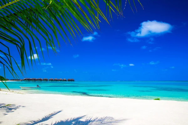 Strand in Maldiven — Stockfoto