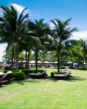 Çimenli bahçe taşı yolu