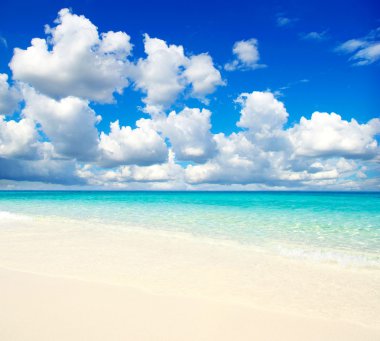 plaj ve tropikal deniz