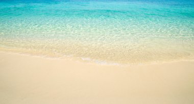 plaj ve tropikal deniz