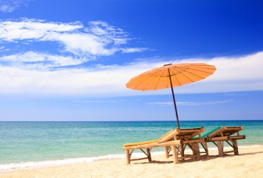 plaj ve tropikal deniz